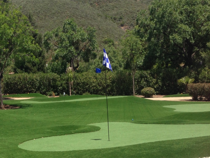 Synthetic Grass Black Canyon City, Arizona Putting Green Carpet