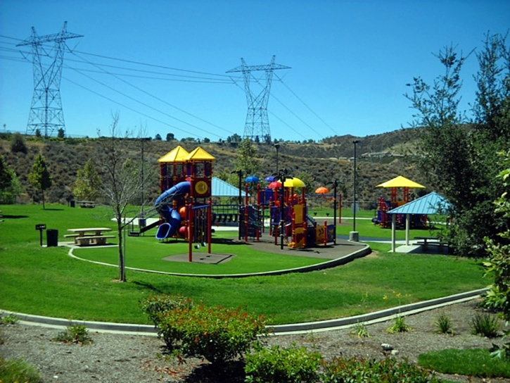 Synthetic Grass Cost Ali Molina, Arizona Playground, Recreational Areas