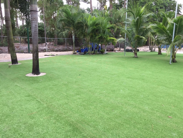 Synthetic Grass Cost San Carlos, Arizona Landscape Rock, Commercial Landscape