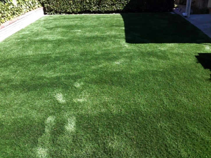 Synthetic Grass Cost Tucson, Arizona Pet Grass, Backyard Landscaping