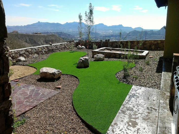 Synthetic Grass Hackberry, Arizona Dog Park, Backyard Design