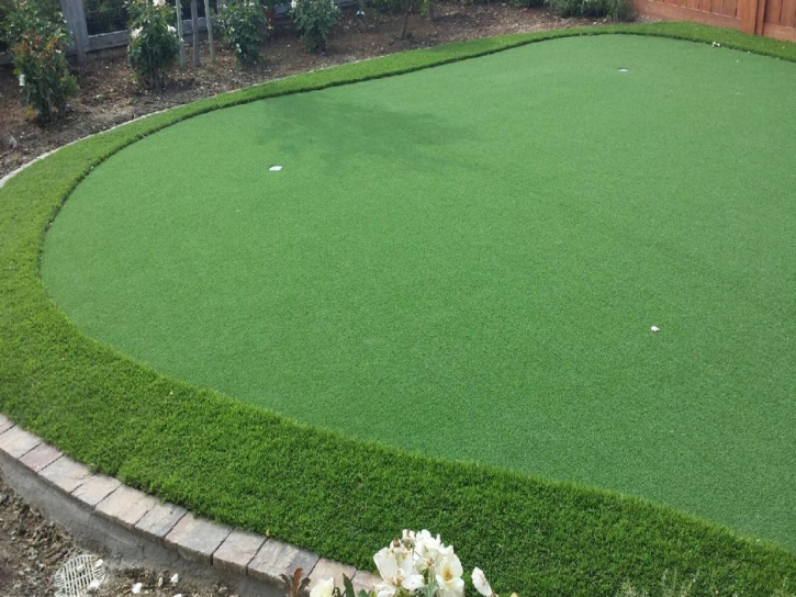 Synthetic Grass Pirtleville, Arizona Indoor Putting Green, Backyard Landscape Ideas