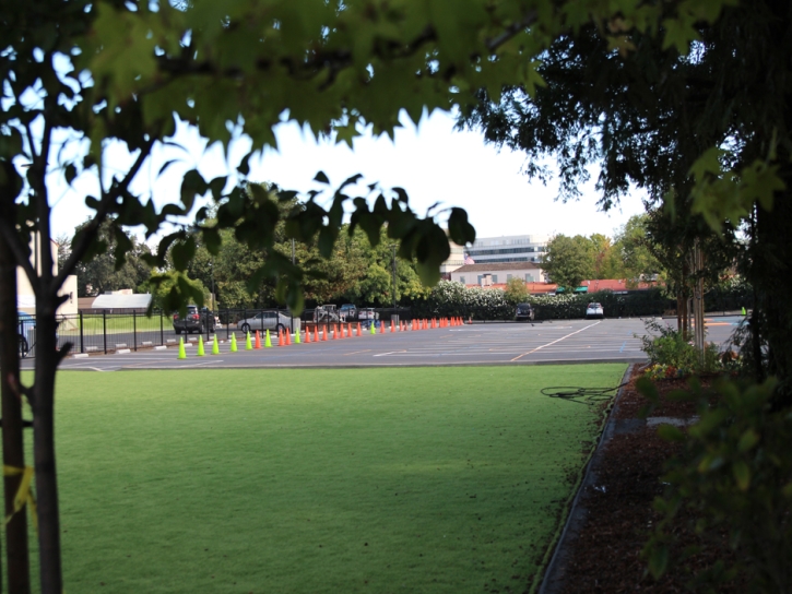 Synthetic Grass Vaiva Vo, Arizona Playground Turf, Commercial Landscape