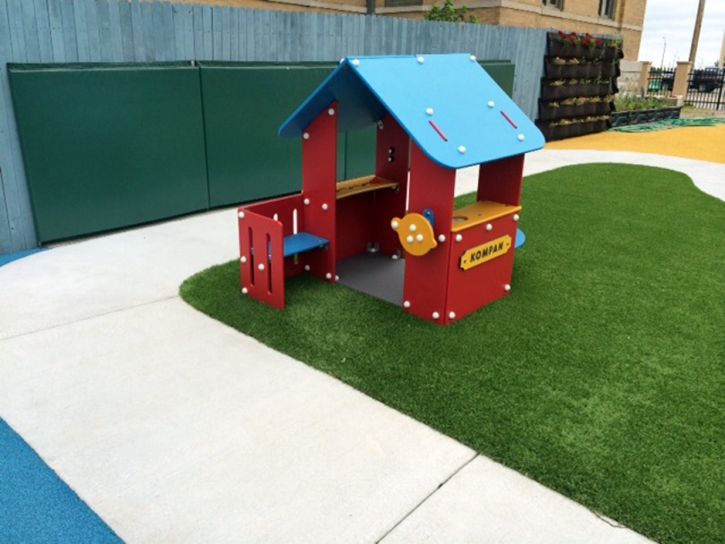 Synthetic Grass Wilhoit, Arizona Indoor Playground, Commercial Landscape