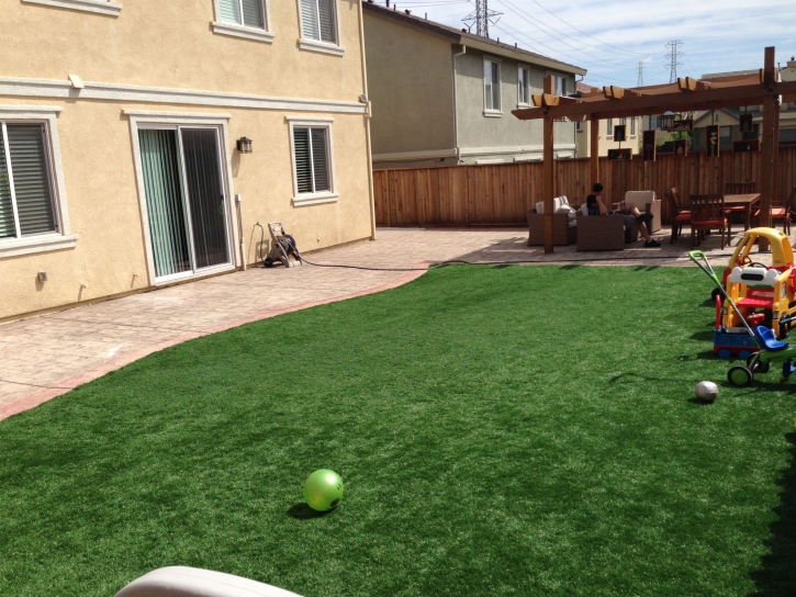 Synthetic Lawn Tortolita, Arizona Design Ideas, Backyard Design