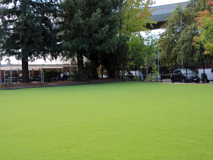 Synthetic Turf Picacho, Arizona City Landscape, Commercial Landscape
