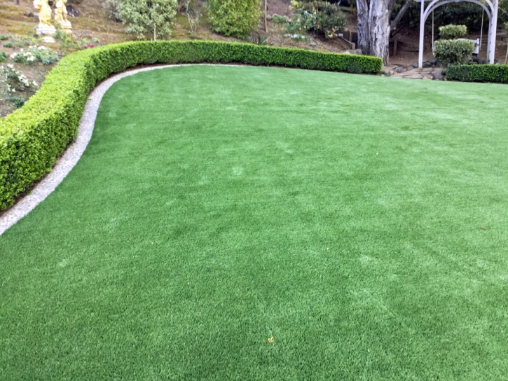 Synthetic Turf Pinal, Arizona City Landscape, Backyard Landscaping