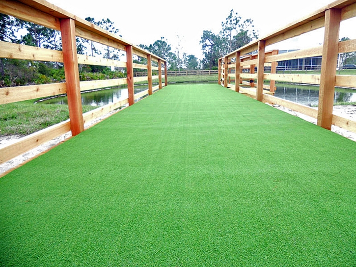 Synthetic Turf Supplier Aguila, Arizona Dog Hospital, Commercial Landscape