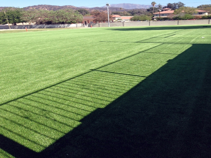 Synthetic Turf Tacna, Arizona Lawn And Garden